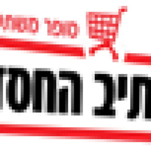 תמונה8